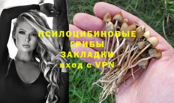ешки Алексин