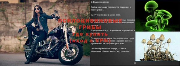 бошки Алзамай